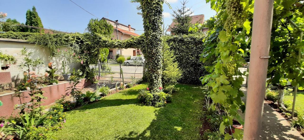 Apartamento Exclusive Paraćin Exterior foto